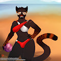 Patreon: Baset Beach Panther
