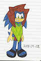 Sonic as Pacha