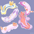 Sea Slugs