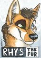 Rhys Badge