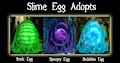 Slime Egg Adopts!