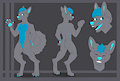 Brite Paw Reference Sheet by PawWhispers