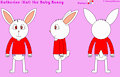 Kat Bunny (ConejoBlanco) Model Sheet OLD