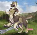 Commission: Fetch! by Nakoo