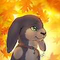 Fallen Leaves for Pladim! by LipeRinehart