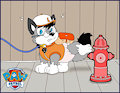 Paw patrol : the pup and the hydrant