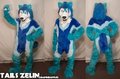 Tails Zelin Fullsuit by Gel