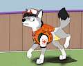 Paw Patrol redesign by Yip the coyotepup by Loupy