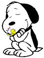 Durma Bem, Amigão! Eu Te Amo, Snoopy!