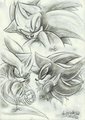 3 Hedgehogs Sketch by Mimy92Sonadow