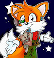 Tails as Star Fox