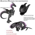 Acantha Delitora the mantiraptor