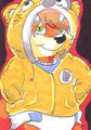 Art Cards - Byron Hoodie Ozzy Fox