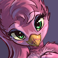 Name this Pink Angel Birb
