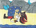 Sonic saved Shadow