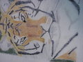 tiger colored sketch