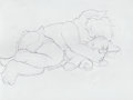 Let sleeping kittens be by Bobkitty