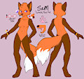 Sam Ref 2018 (WILL BE UPDATED LATER WITH A FINISHED VERSION)