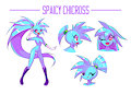 Spaicy Chicross