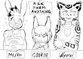 FFC-Special : Ask them anything! by Kagemusha