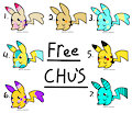 FREE CHU ADOPTS!!!