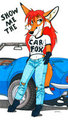 Show Me The Car Fox