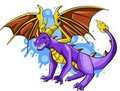 legendary purple dragon