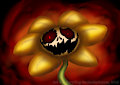 Your best friend, Flowey!