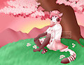 cherry blossom by CorruptCanineCreations