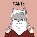 ASK *CANIS*