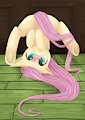 Clumsy Fluttershy