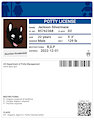 Potty License for Jack!
