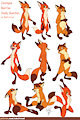 Zootopia Study Sketches - Red foxes