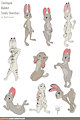 Zootopia Study Sketches - Rabbits