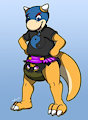 Shade Koopa with Data Diaper