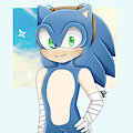 .:AT:. Sonic by Miriuo