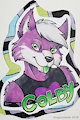 Colby Badge