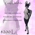 Grey Chinchilla by Aislinn