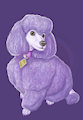 Purple Poodle Christmas Gift Painting