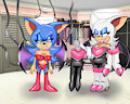 Sonic and Rouge in mind makeover