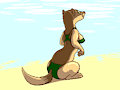 Beach Weasel