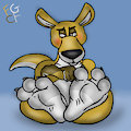 Joeys big Roo stompers by TheRedSkunk