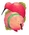 Strawberry Kiwis by NoFoxGibbon