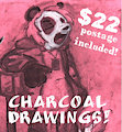 $22 Charcoal Drawings - postage included!