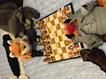 Guildwars Chess Game by SakidoIratu