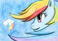 MLP: My life as a rainbow