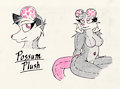 Possum Plush