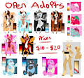 REMINDER : OPEN ADOPTS!!!