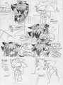 Sonadow-ALR pg 37