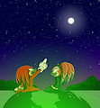 Knuckles and Shade (Starry Sky) by PixTV